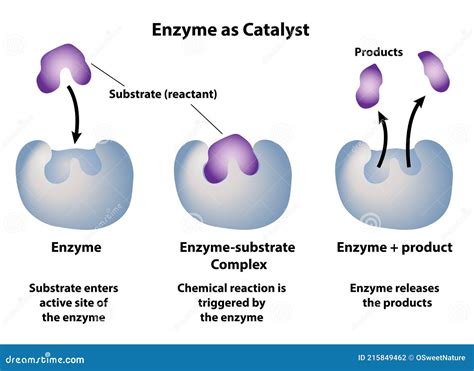 Enzyme not a substrate @Khaantotebag Twitter profile .